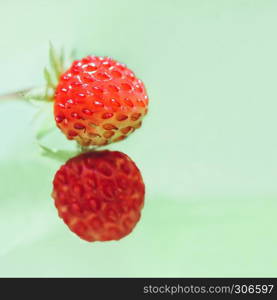 Two ripe berries of wild strawberry in shape of figure eight on a light green background closeup. Greeting card for the international women?s day, space for copy, selective focus.. Two Strawberry On A Light Green Background