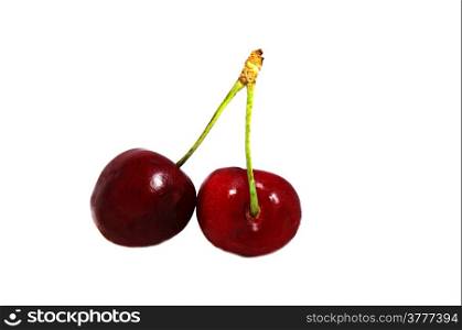 Two ripe cherries on a branch