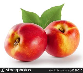 Two ripe juicy nectarine with leaves isolated on white background