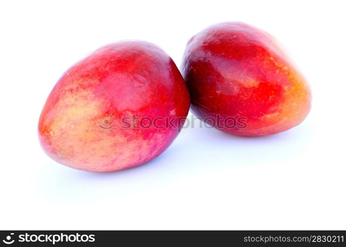 Two ripe mangos isolated on white background.