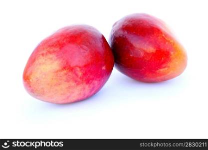 Two ripe mangos isolated on white background.
