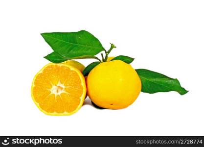 Two ripe oranges with leaves isolated on white