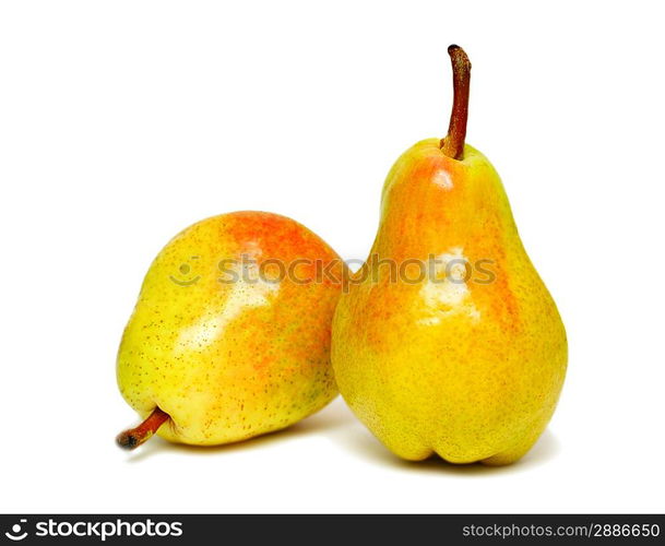 Two ripe pears isolated on a white background