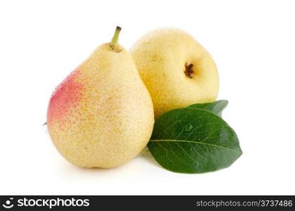 Two ripe pears isolated on white background