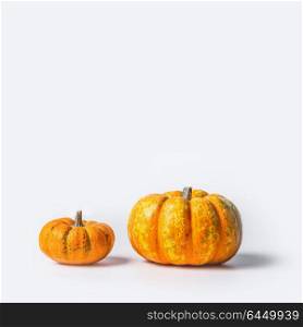Two ripe pumpkins on white background, front view, copy space for text