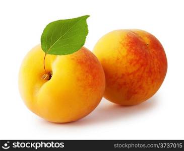 Two ripe yellow apricot with leaves isolated on white background