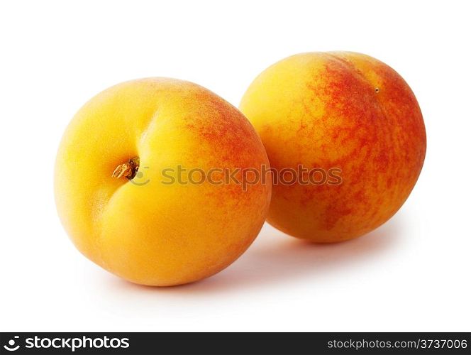 Two ripe yellow apricots isolated on white background