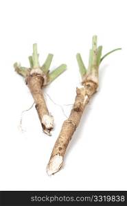 Two roots of horse radish