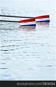 Two rowing oars with red, white and blue blades touching the water, prior to the start of a rowing race