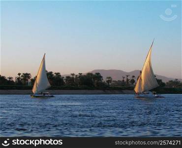 Two sailboats in a river, Nile River, Egypt