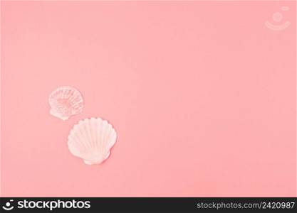 two scallops seashell pink background