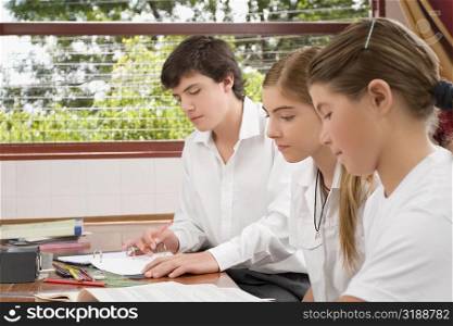 Two schoolgirls and a schoolboy studying in a classroom