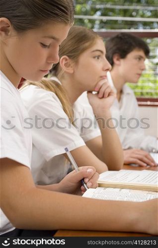 Two schoolgirls and a schoolboy studying in a classroom