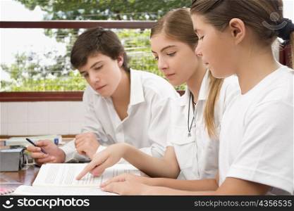 Two schoolgirls and a schoolboy studying together in a classroom