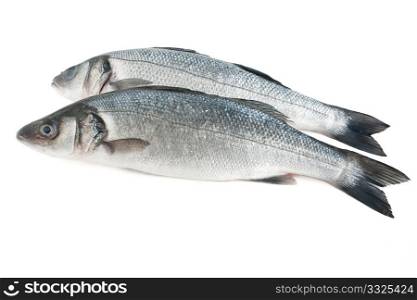 two sea bass isolated on white with clipping path
