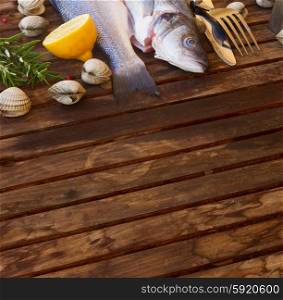 Two Seabass raw fish with shellfish, copy space on wooden table w