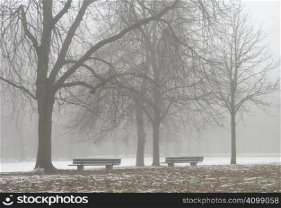 Two Seats Along a Lonely Foggy Path