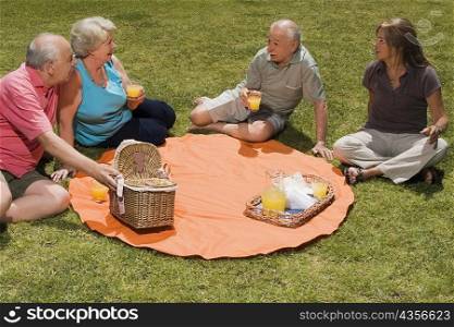 Two senior couples at picnic