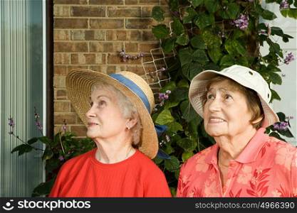 Two senior women arriving at a house