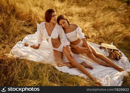 Two sexy women in lingerie poses on blanket in the field. Female persons with slim body in underwear leisures on meadow, relaxation on sunset, feeling of freedom. Two women in lingerie poses on blanket in field