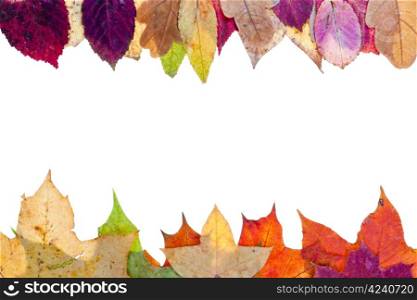 two side frame from multicolored autumn leaves isolated on white background