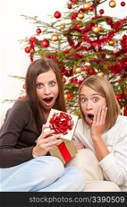 Two smiling women with Christmas present in front of tree