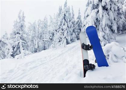 Two snowboards sticked in the snow on a beautiful snow forest background