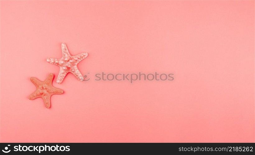 two starfish coral background with copy space