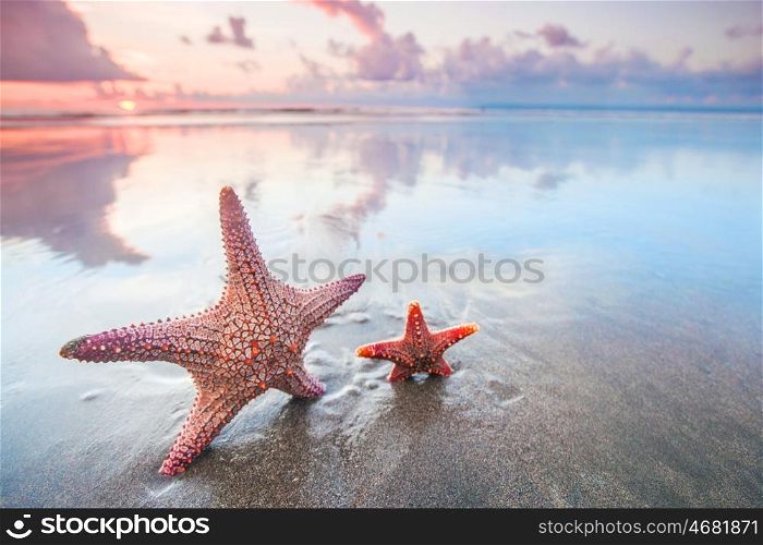 Two starfish on sea beach at sunset, Bali, Seminyak, Double six beach