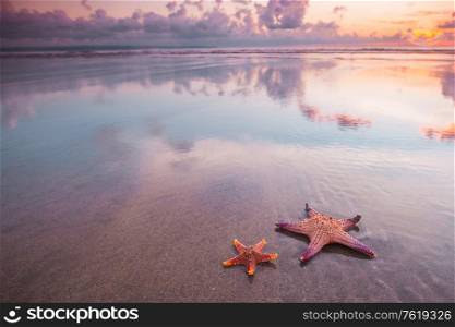 Two starfish on summer beach at sunset tropical romantic vacation background. Two starfish on beach