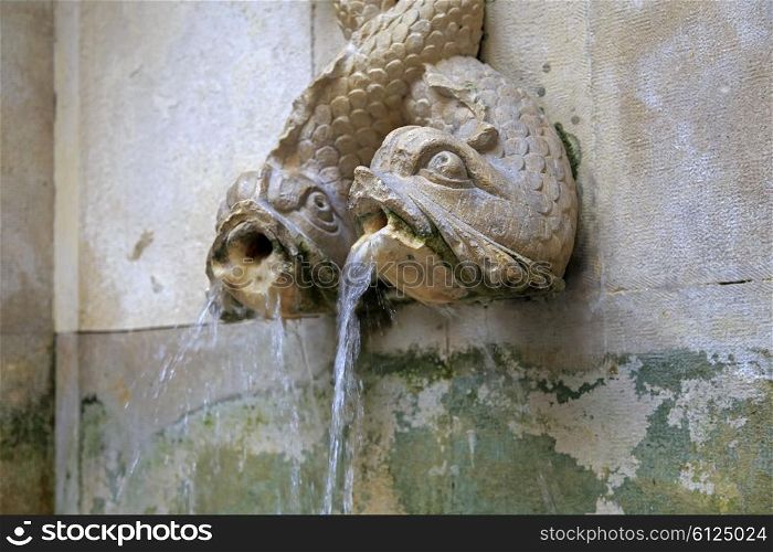 Two stone fish fountain on the wall in Lisbon, Portugal&#xA;