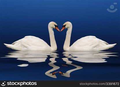 Two swans. A collage from swans on a background of the blue and reflection