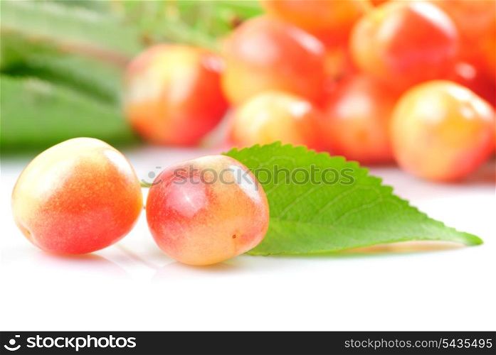 Two sweet cherries with green leaves on white with fruit background
