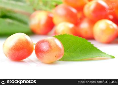 Two sweet cherries with green leaves on white with fruit background