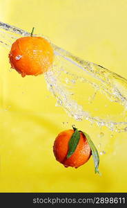 two tangerines and water splashes on yellow, close up