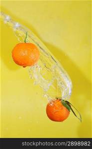 two tangerines and water splashes on yellow, close up