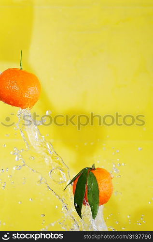 two tangerines and water splashes on yellow, close up