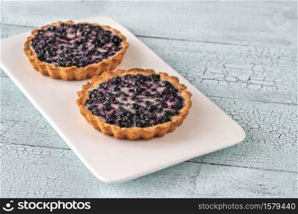 Two tartlets with fresh blueberries and sour-cream filling