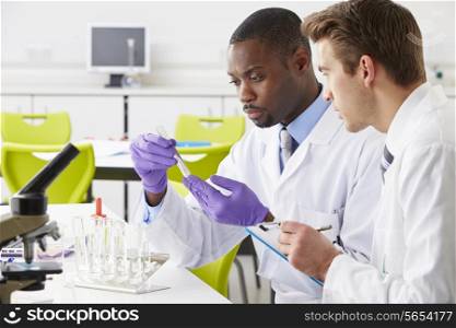 Two Technicians Working In Laboratory