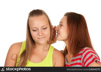 Two teenage girls gossiping isolated on white