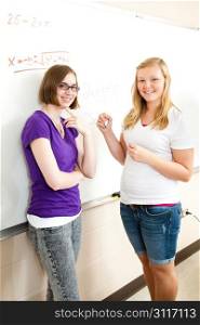 Two teenage students at the blackboard working algebra math problems.