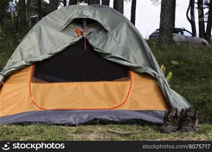 Two tents in forest.