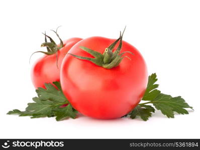 Two tomato vegetables and parsley leaves still life isolated on white background cutout