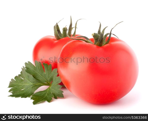 Two tomato vegetables and parsley leaves still life isolated on white background cutout