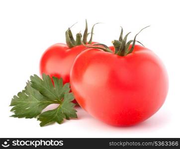 Two tomato vegetables and parsley leaves still life isolated on white background cutout