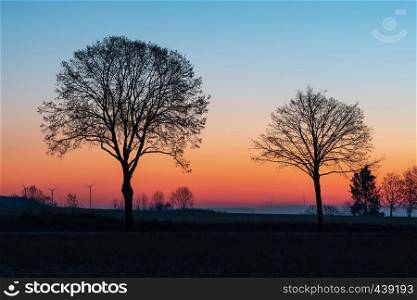 two trees backlit by sunrise after bloodmoon night