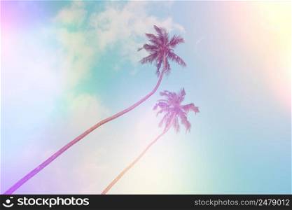 Two tropical coconut palm trees over blue sky background vintage color toned and stylized with film light leaks