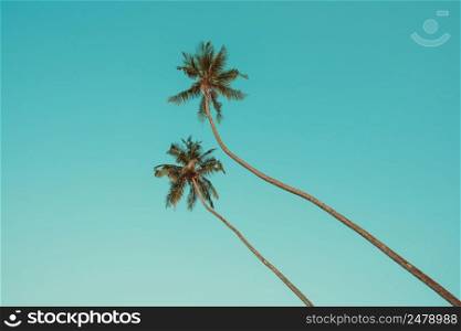 Two tropical coconut palm trees over clear blue sky vintage color stylized with copy space