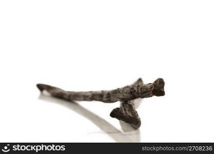two vanilla beans deep. two vanilla beans with deep focus on white background