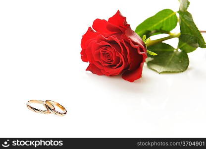 Two wedding bands and red rose